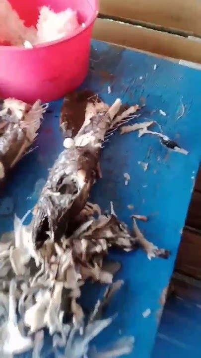 igit igit fish|Oil Fish. Sinugbang Igit igit .